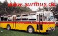 www.Surfbus.de